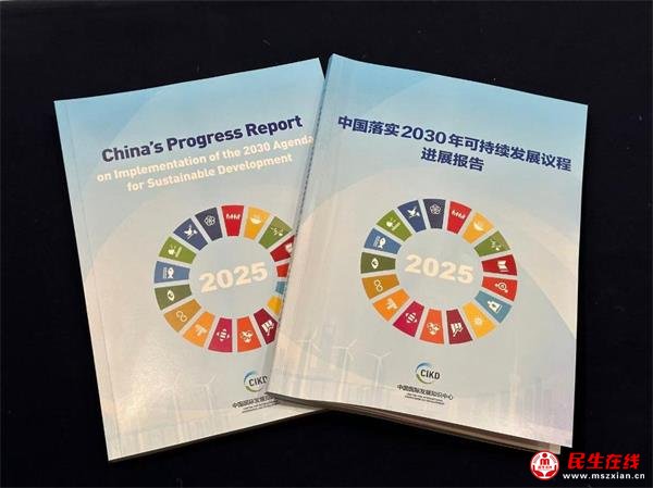 ���й���ʵ2030��ɳ�����չ���